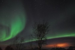 L'Aurora Boreale vicino a Tromsø