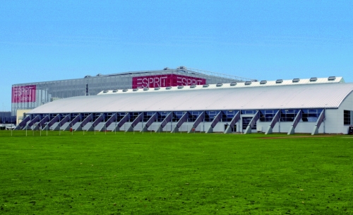 The Growth of a Game