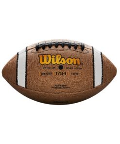 Alternative view of Wilson TDY Composite Football